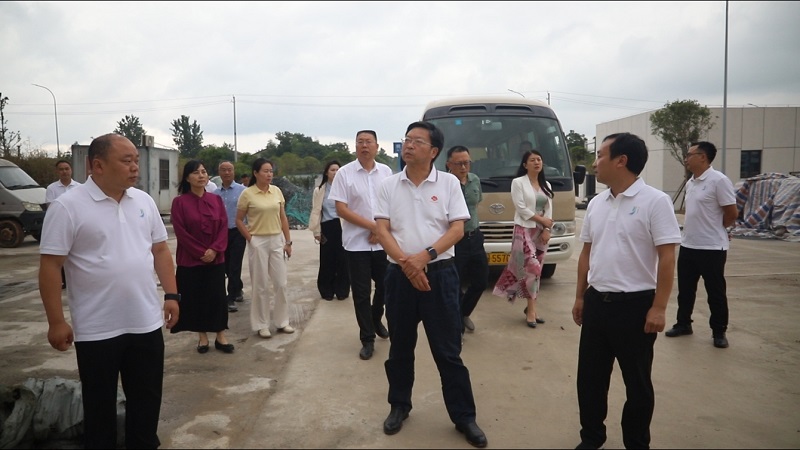 视察组视察桃江县汽车东站 罗寒 摄